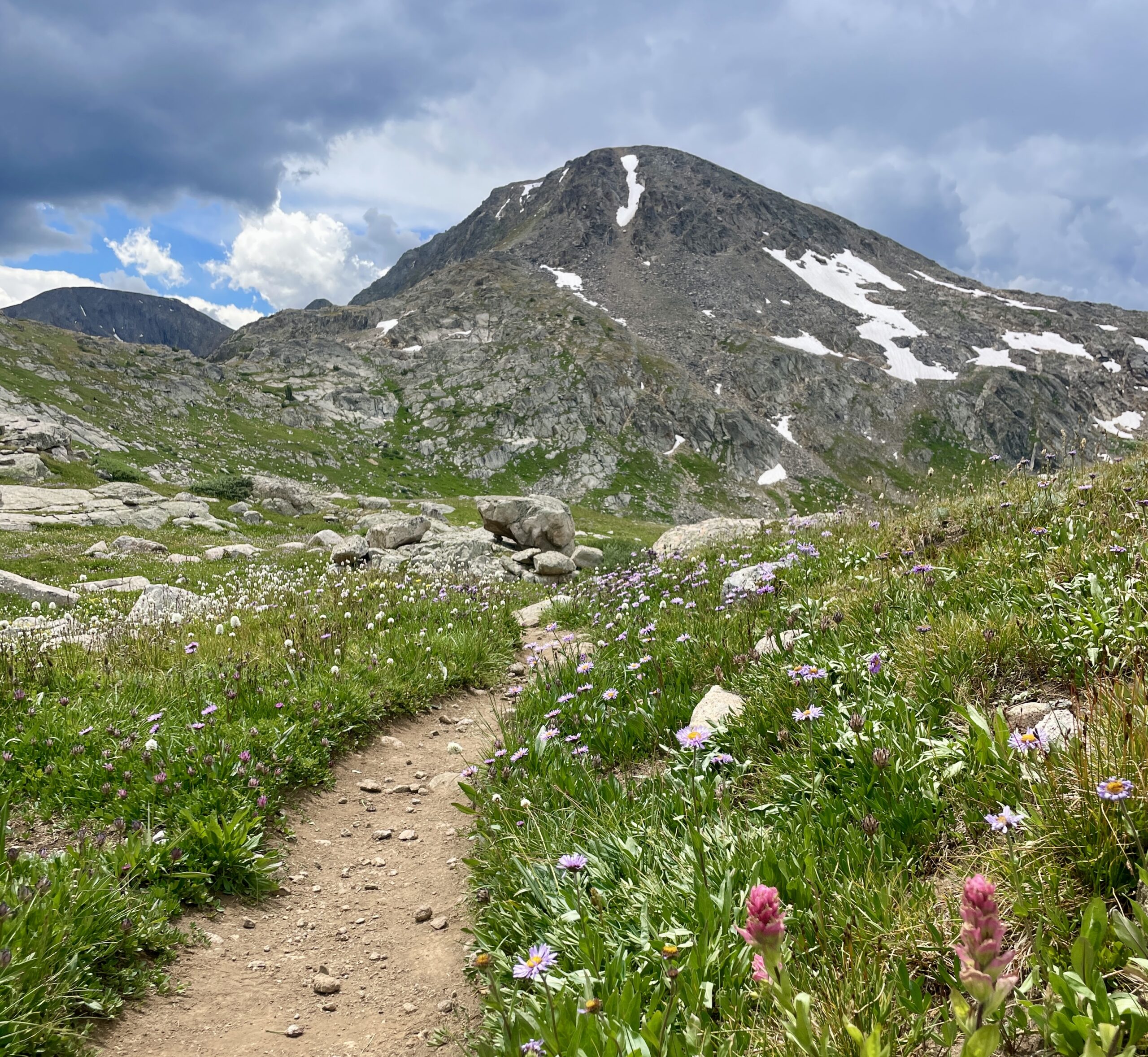 Wildflower-lined trail leading toward a rocky peak in Eagles Nest Wilderness