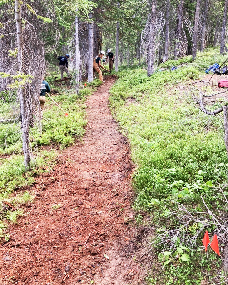 VVMTA crew members flagging and building new singletrack trail at Mill Creek