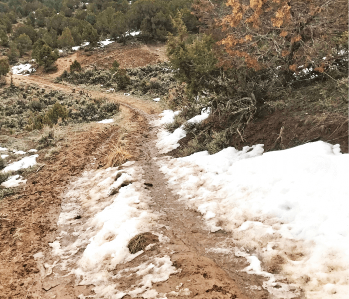 Copy-of-Trail-Conditions-Slider-1024x432 (1)