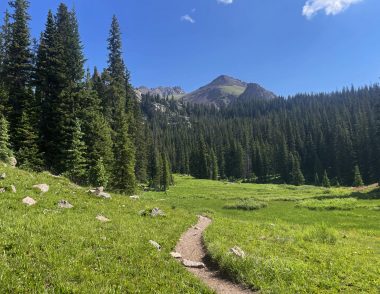 IMG_8542