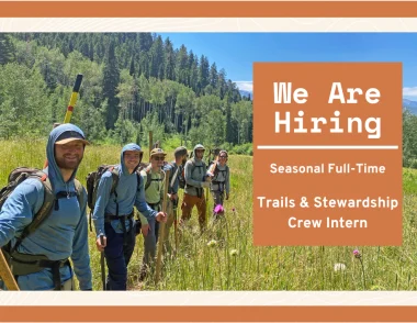 Intern hiring TSC (1)