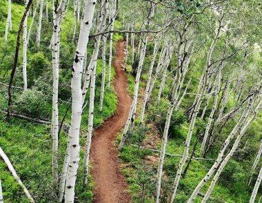 North Trail