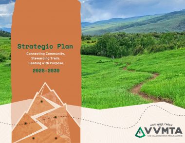 VVMTA 2025-2030 Strategic Plan FINAL2